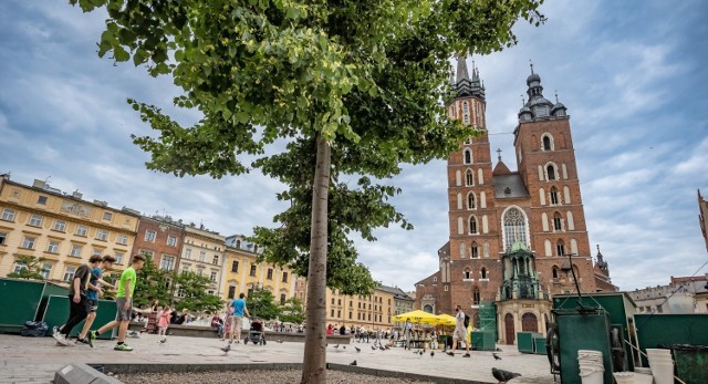 Jakie atrakcje czekają na turystów w Krakowie? Podpowiadamy, gdzie w mieście warto wybrać się w wiosenny weekend na spacer i rower, gdzie urządzić piknik i jak skorzystać z darmowych atrakcji miasta.