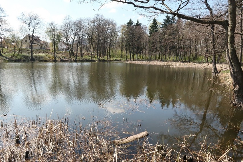 Piękny zbiornik wodny przy ul. Bystrzyckiej w Wałbrzychu wyjątkowo piękny wiosną! Zobaczcie zdjęcia