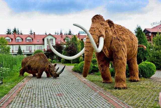 W piątek, 20 czerwca w Rosnówku pod Stęszewem, na obrzeżach Wielkopolskiego Parku Narodowego, otwarty zostanie Deli Park - pierwszy w okolicy Poznania rozległy i bogato wyposażony park edukacyjno-rozrywkowy. 

Zobacz więcej: Deli Park w Rosnówku zostanie otwarty w piątek 