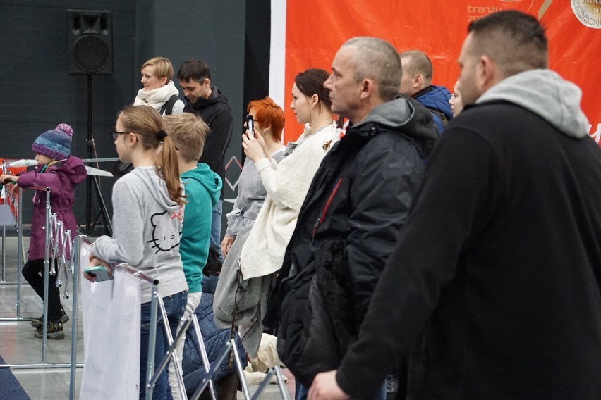 Międzynarodowa Wystawa Psów Rasowych w Bydgoszczy. Zobaczcie pokaz psiego posłuszeństwa [zdjęcia, wideo]
