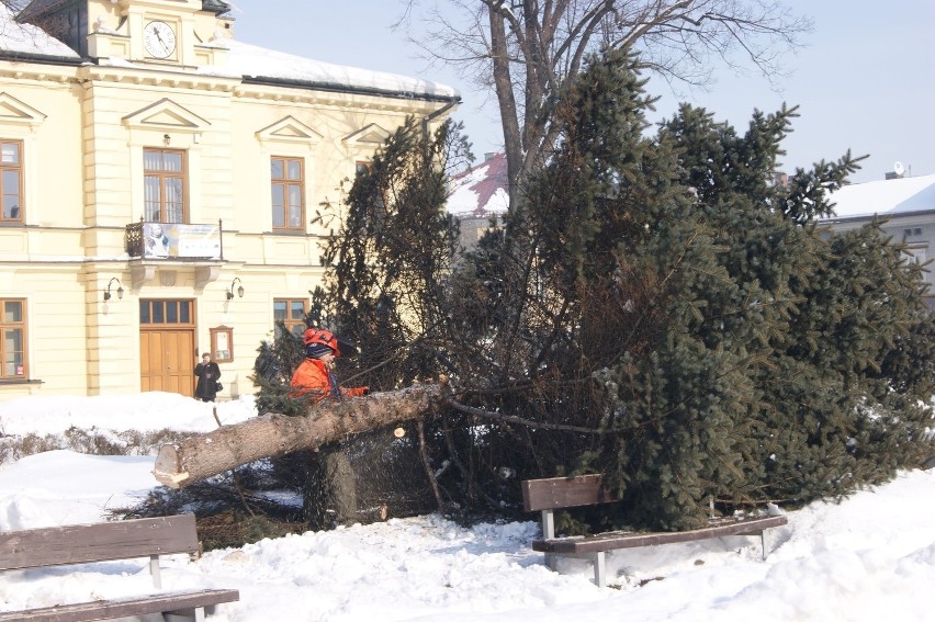 Nowy Targ: drwale ścieli już połowę drzew na rynku [ZDJĘCIA]