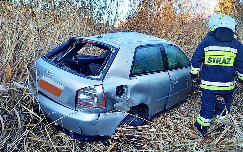 Zderzenie auta z dzikiem na głównej drodze w dolinie Dunajca. Kierowca ma złamany kręgosłup