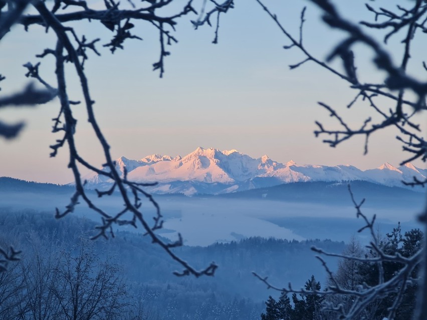 Widok na ośnieżone Tatry z Muszyny