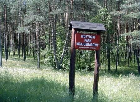 Kontrola przeprowadzona we Wdzydzkim Parku Krajobrazowym stwierdziła uchybienia i nadużycia w kierowaniu nim. Fot. Marcin Modrzejewski