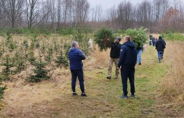 W Będzinie - Grodźcu w ten weekend można wybrać sobie świąteczną choinkę. Czekają też ryby 

Zobacz kolejne zdjęcia/plansze. Przesuwaj zdjęcia w prawo naciśnij strzałkę lub przycisk NASTĘPNE