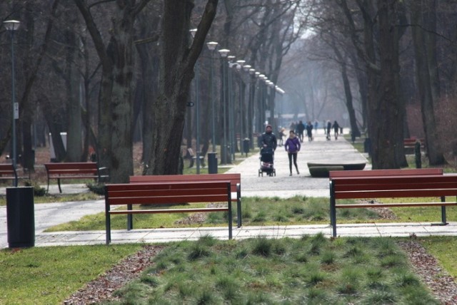 Park Zielona w Dąbrowie Górniczej zachęca do spacerów o każdej porze roku