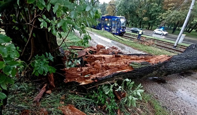 Nad Wrocław nadciąga burza z gradem 8.09.2022