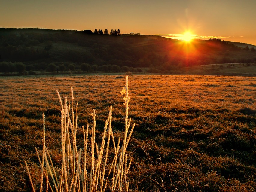 18 marzec 2012 - Międzynarodowy Dzień Słońca.