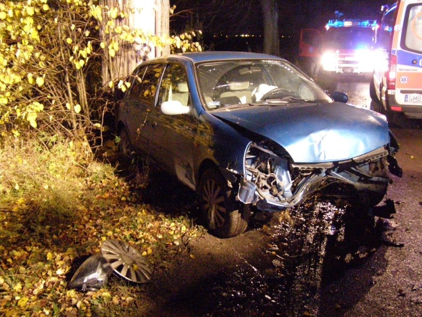 Wypadek między Lisewem Malborskim a Starą Wisłą. Renault uderzył w drzewo
