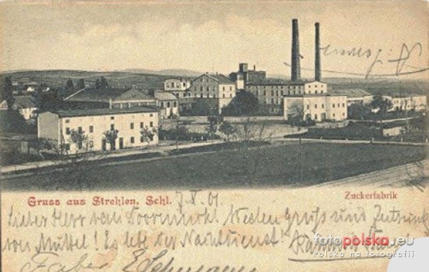 Strzelińska cukrownia w latach 1900-1908