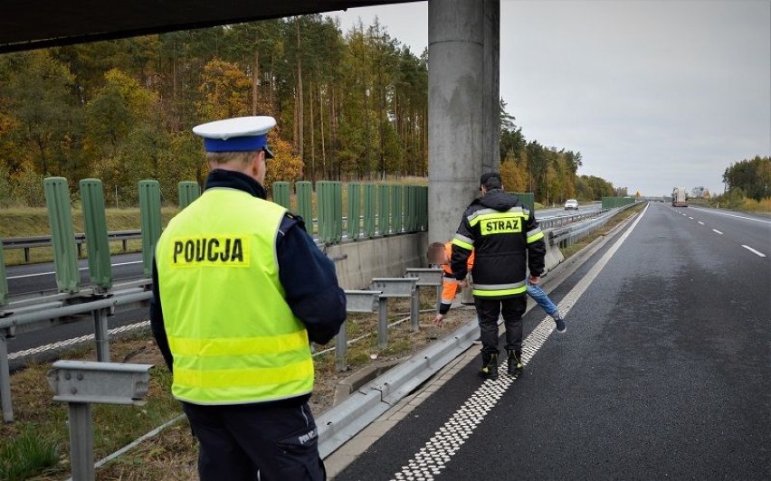 Powiat tczewski. Badali przyczyny śmiertelnego wypadku na A1 w pobliżu Borkowa [ZDJĘCIA]