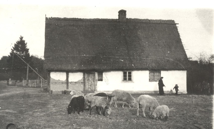 Zalesin, jeden z domów Sióstr Benedyktynek-Samarytanek.