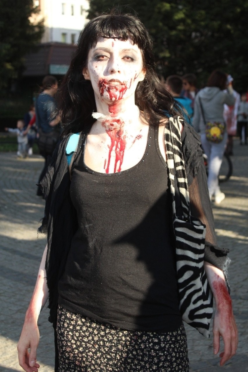 Zombie walk we Wrocławiu. Zobacz zdjęcia