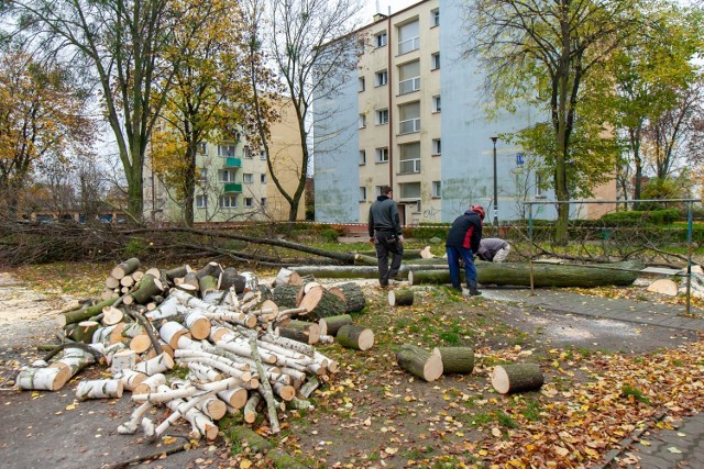 Tak wyglądał plac między blokami przy Powstańców Śląskich po wycięciu kolejnych drzew