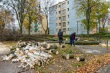 Drzewa na Bielawach w Bydgoszczy poszły pod topór. Mieszkańcy są zbulwersowani