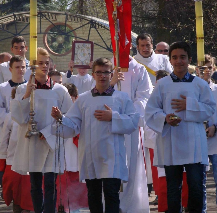Dąb Mieszko koło kościoła upamiętnia 1050. rocznicę chrztu Polski