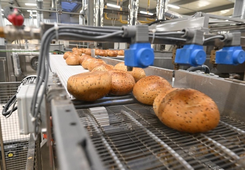 Jak powstaje chleb? Tak od kulis wygląda proces produkcji u Pellowskiego w Gdańsku. WIDEO