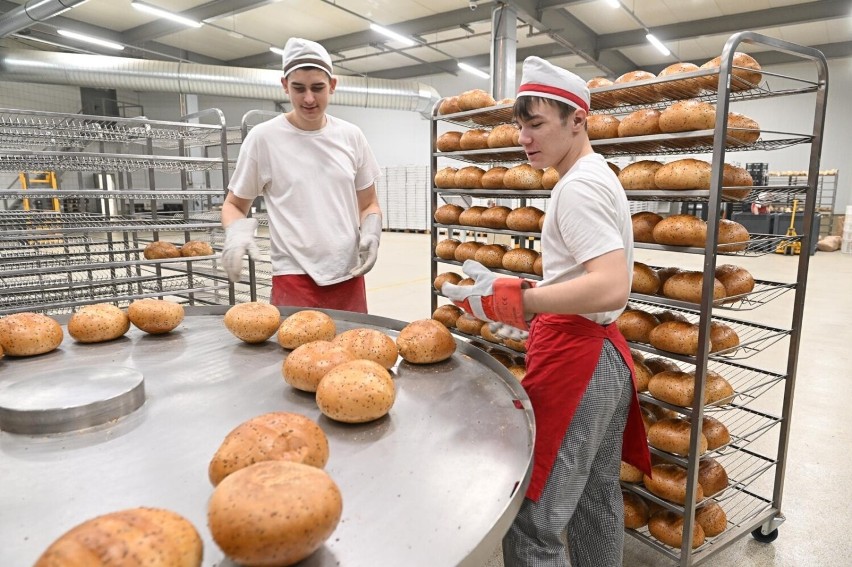 Jak powstaje chleb? Tak od kulis wygląda proces produkcji u Pellowskiego w Gdańsku. WIDEO