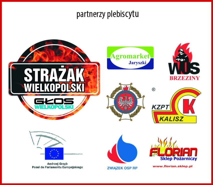 Strażak/OSP Wielkopolski 2016: głosowanie