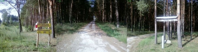 Wjazd do lasu w kierunku &quot;Leśnicz&oacute;wki&quot; w Przewozie. Fot. Karol Szmagalski