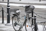 Śnieg w województwie opolskim. IMGW zapowiada intensywne opady śniegu w piątek, 26 listopada