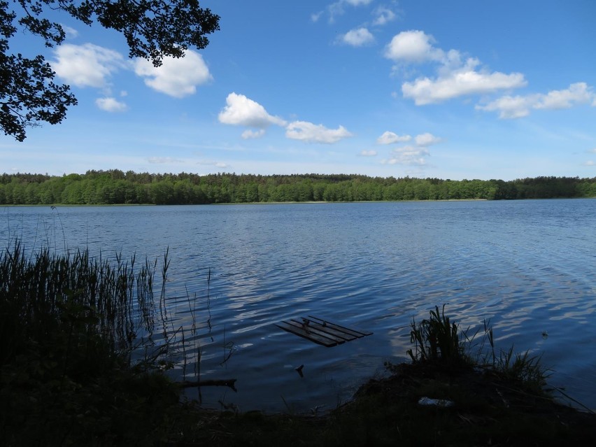 Jezioro Obłęskie jest dobry miejscem do wypoczynku w...