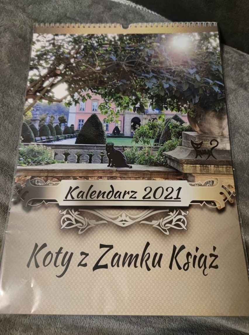 Kalendarz Koty z Zamku Książ 2021 jeszcze do kupienia....
