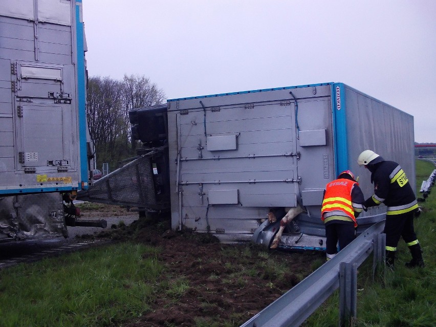 Wypadek na A4. Padły zwierzęta przewożone do ubojni [ZDJĘCIA]