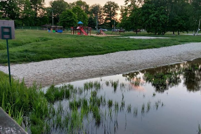 Podczas środowych wyjazdów dzieci i młodzież będą mogli się bawić m.in. nad zalewem Nowiniec w Lubsku.