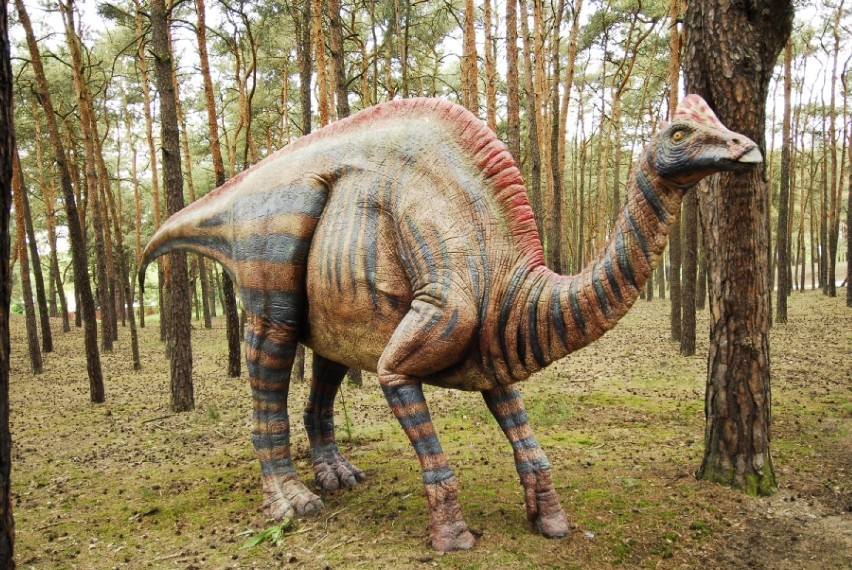 Tak będą wyglądały dinozaury, które "zamieszkają" na Strzeszynku?