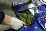 Przemyt siedmiu kilogramów marihuany udaremniony (zdjęcia)
