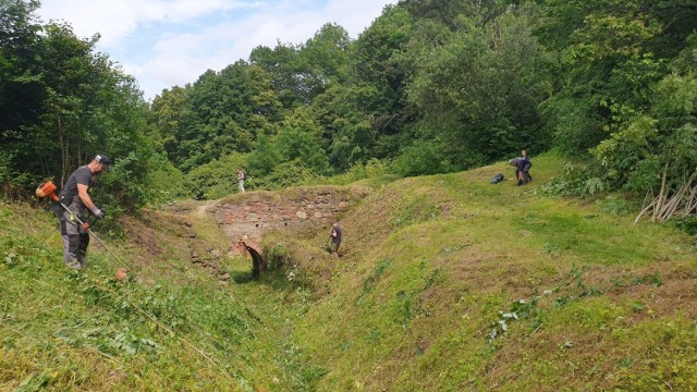 Dzięki Zamkomanii udało się kolejny raz uprzątnąć zamkowe wzgórze z ruinami zamku w Tarnowie z samosiejek i chaszczy