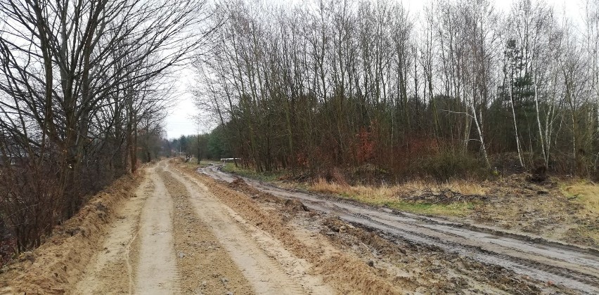 Ścieżki rowerowe w Szczecinie i regionie. Powstaje kolejna! Zobacz, gdzie 