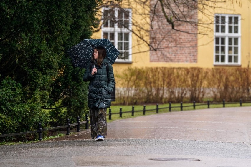 01.04.2023 gdansk. deszczowa pogoda w oliwie. fot. jakub...