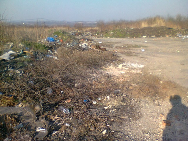 Śmieci w Bytomiu