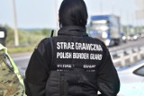 Na granicy polsko-niemieckiej zatrzymano nielegalnych imigrantów. Wpadli przez... nagrywanie filmu telefonem