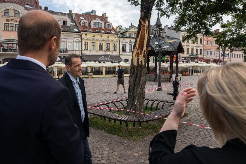 Wichura złamała konar drzewa na Rynku w Rzeszowie. Ratusz chce uratować akację ale nie wiadomo czy się uda