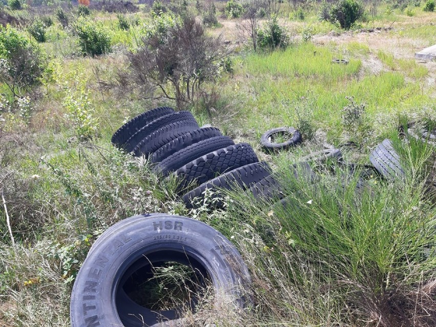 Śmieci i góra opon w pobliżu Sokołowic (FOTO)      