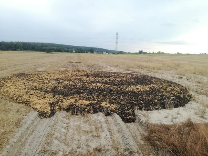 Firma w Gliwic zwozi śmierdzące osady z oczyszczalni ścieków...