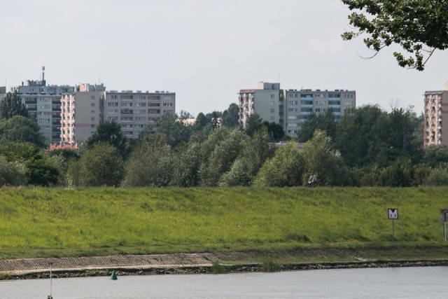 7.08.2016 opole wyspa bolko pasieka fot. natalia popczyk / nowa trybuna opolska