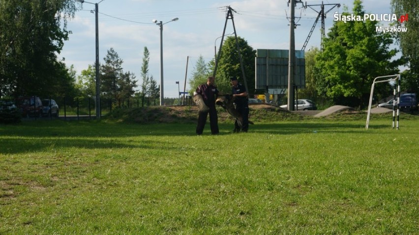 Myszków, Częstochowa. Policjanci z psami na pikniku rodzinnym ZDJĘCIA