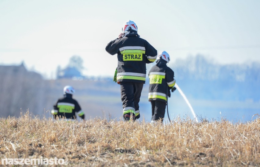 Nasilają się pożary traw. Strażacy przestrzegają [wideo, zdjęcia]