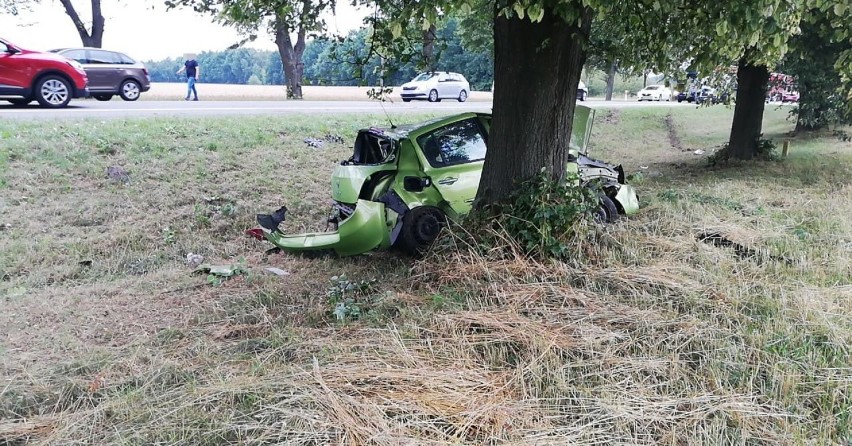 Kolizja koło Reblina. Auto wjechało do rowu i uderzyło w drzewo [ZDJĘCIA]