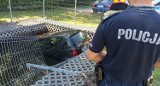 Radzionków: Pijany kierowca zaparkował w zbiorniku przeciwpożarowym. Nie dość, że zniszczył auto, to czekają go również konsekwencje prawne