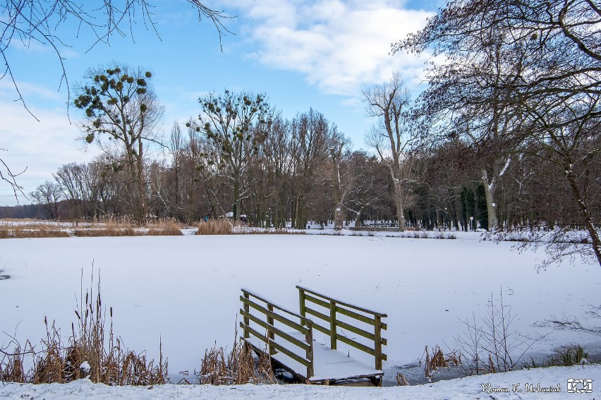 Park Leśny Planty, czyli miejsce, które zimą wygląda wyjątkowo pięknie. Nie wierzycie? Zobaczcie te zdjęcia!