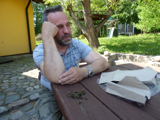 Marek Patalas z Biernatki sprzed jednego z uli zebrał garstkę pszczół, które zginęły po kontakcie ze środkami chemicznymi