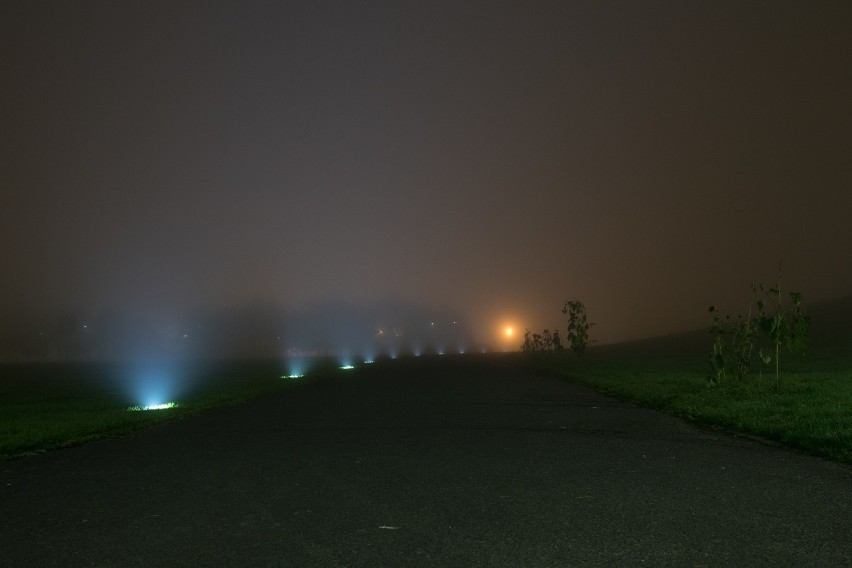W nocy z niedzieli na poniedziałek Opole spowiła gęsta mgła....