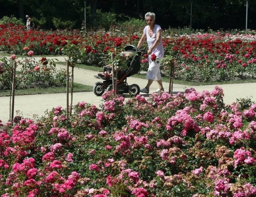 Różanka – Ogród odbudowany w latach 2006-2007 na styl lat...
