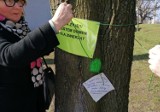 Poznań: Mieszkańcy wieszali specjalne plakietki na drzewach. Protestowali przeciwko planowanej wycince w parku Wieniawskiego [ZDJĘCIA]