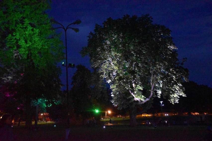 Iluminacja w Parku zachwyca. Jakie są jednak pomysły na jego ożywienie?